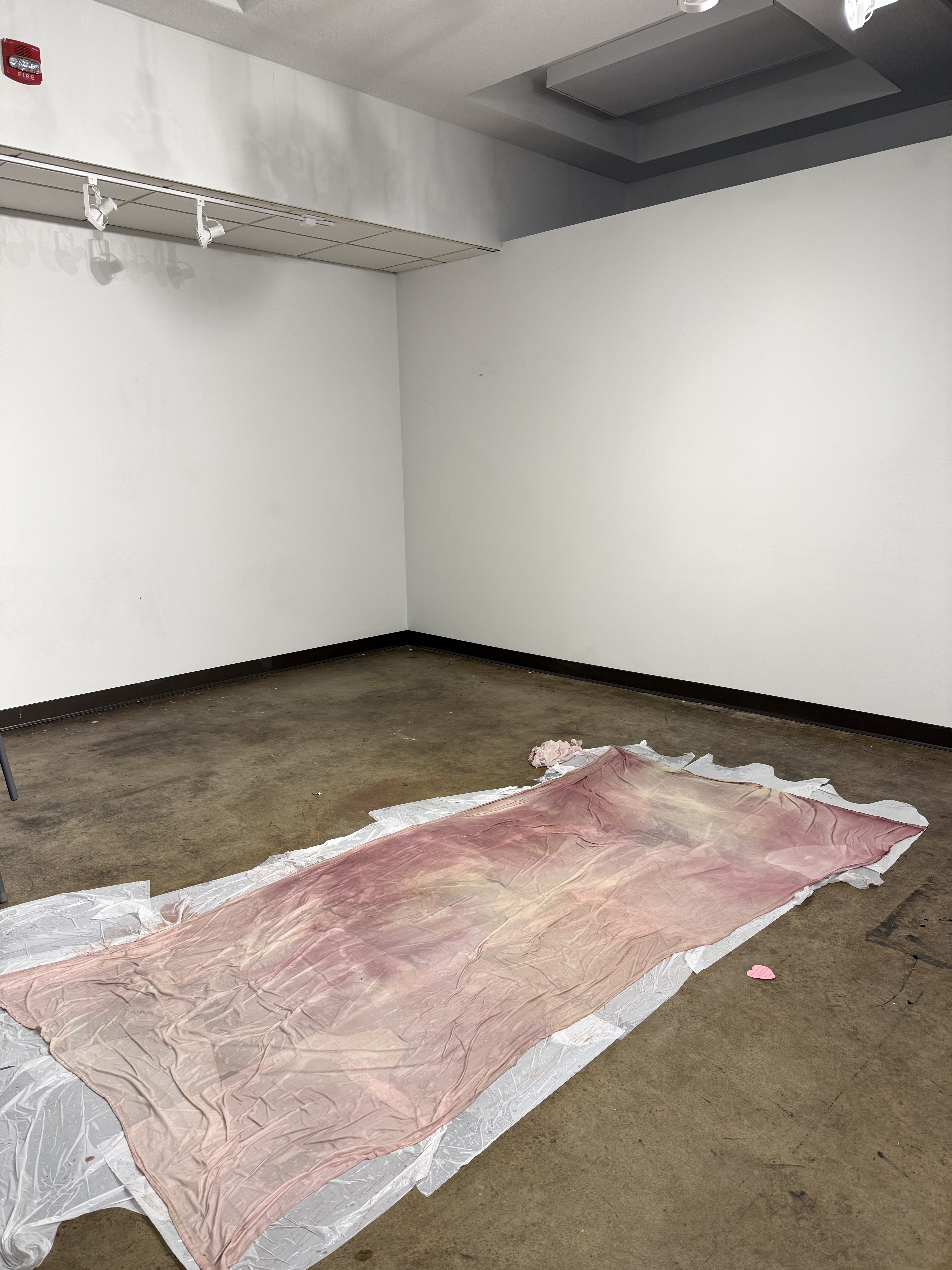 Thesis exhibition process — image 7